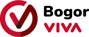 Logo VIVA.co.id
